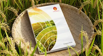 Mitra Kreasidharma - Company Profile & Brosur - Desain dan Layout Profesional