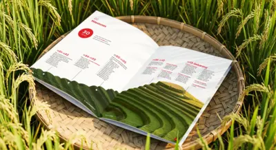 Mitra Kreasidharma - Company Profile & Brosur - Desain Sejarah Perusahaan (Milestones)