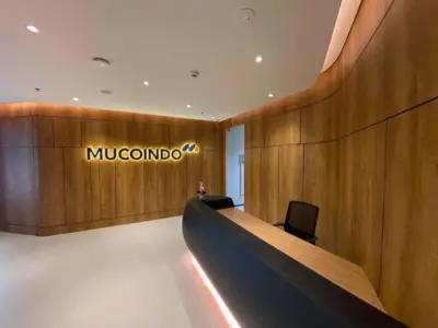 Mucoindo - Logo Redesign and Visual Identity Refreshment