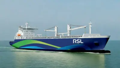 Rimba Sagara Lines - Logo Design and Visual Identity Systems