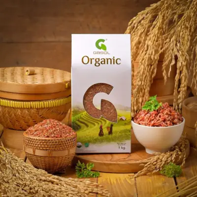 Gasol Organic - Desain Kemasan (Packaging) dan Ilustrasi Custom