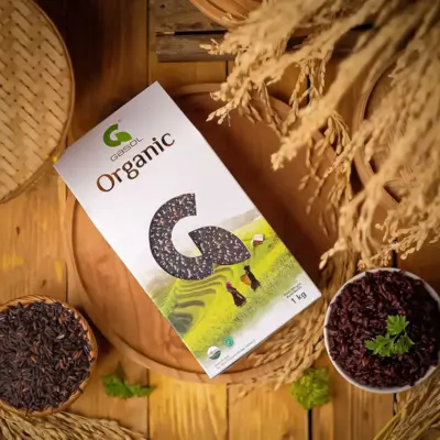 Gasol Organic - Desain Kemasan (Packaging) Premium