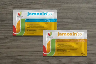 Jannisika - Logo Design and Visual Identity Systems