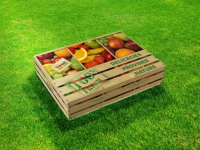 Total Buah Segar - Desain Kemasan (Packaging) Hampers