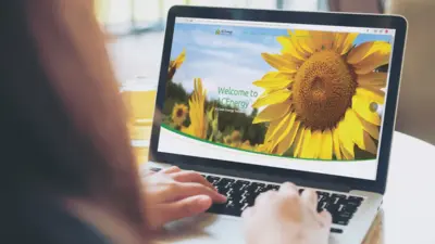 Asia Clean Energy - Website - Desain & Pengembangan CMS Wordpress Custom